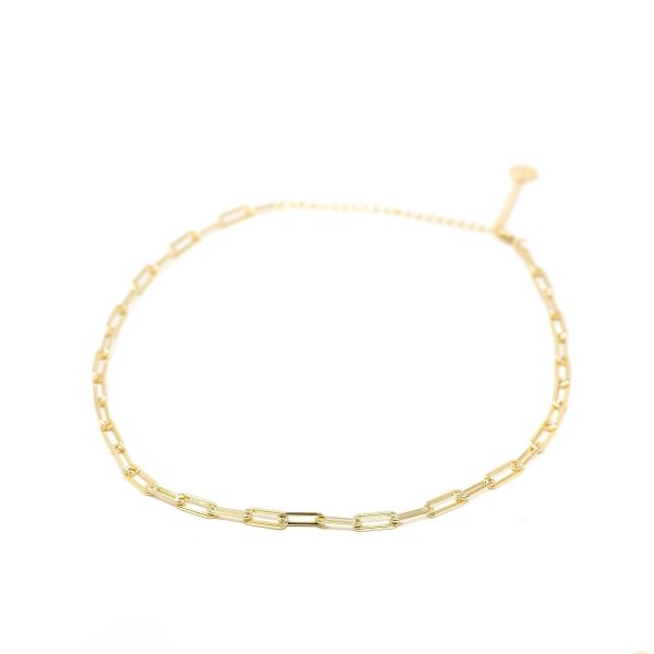 The Leo Chain For Cheap