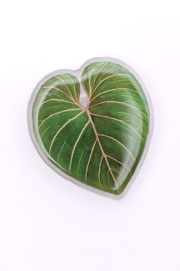 Plant Lover Phone Girp Tropical Leaf For Discount - Image 3